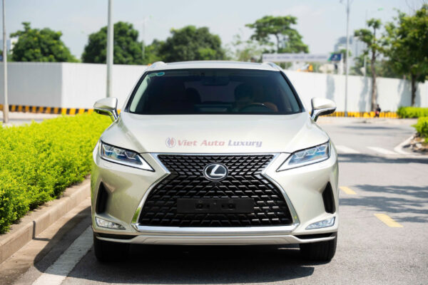 Lexus RX300 2020 - Ảnh 2