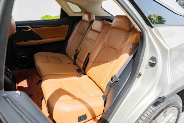Lexus RX300 2020 - Ảnh 9