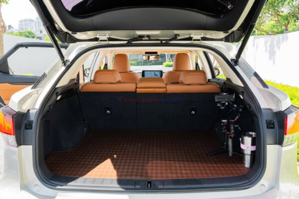 Lexus RX300 2020 - Ảnh 10