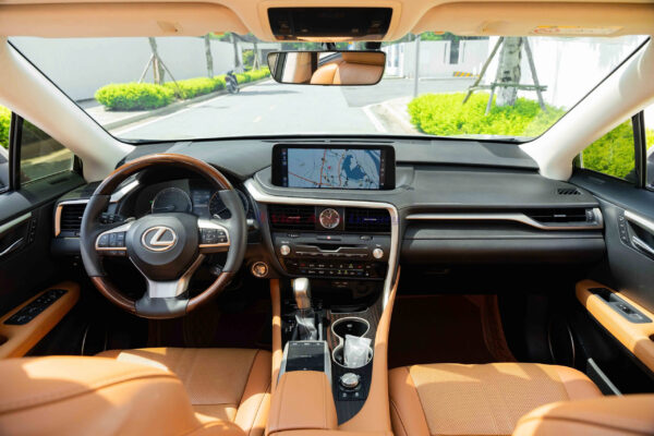 Lexus RX300 2020 - Ảnh 11