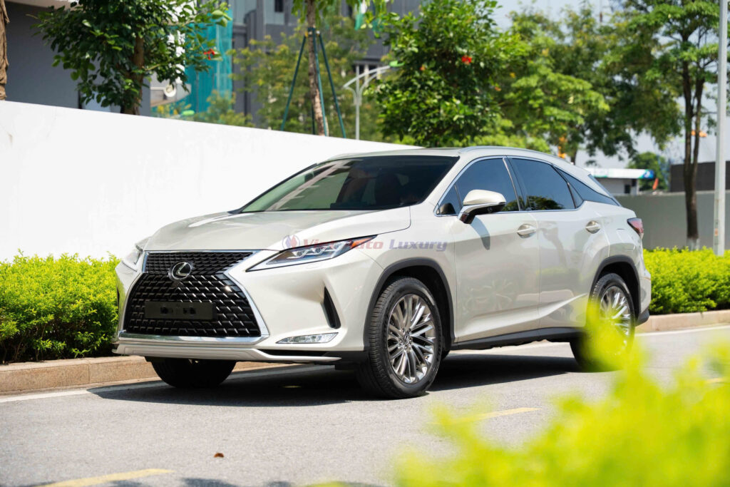 Lexus RX300 2020 - Viet Auto Luxury