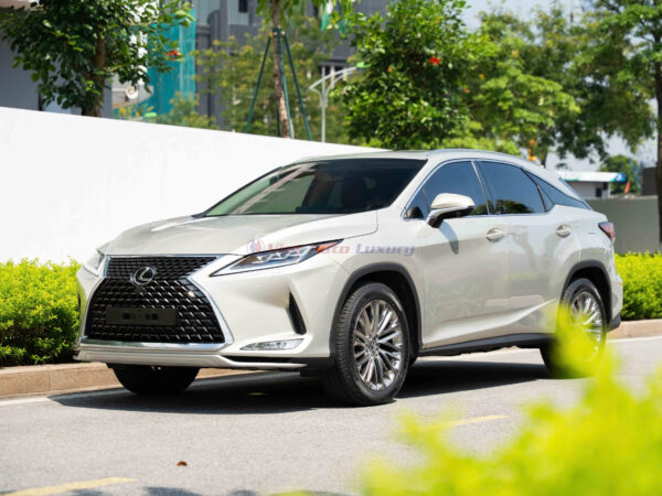 Lexus RX300 2020