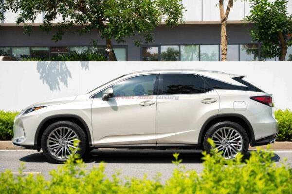 Lexus RX300 2020 - Ảnh 3