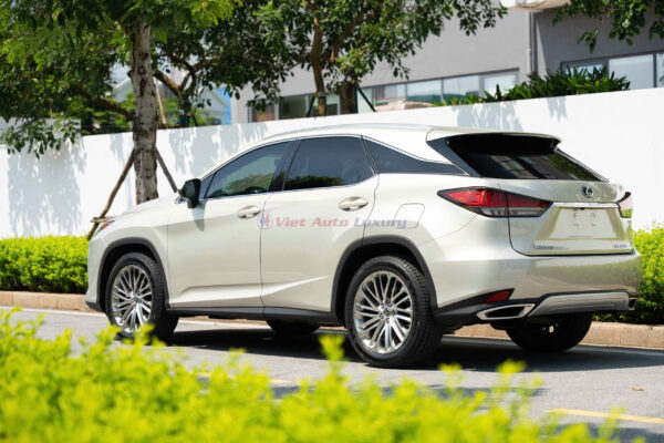 Lexus RX300 2020 - Ảnh 4
