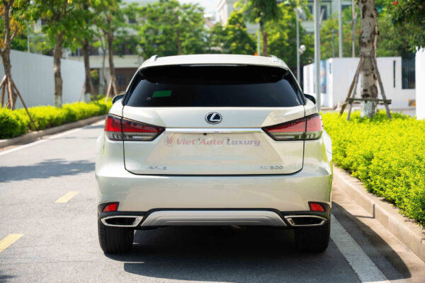 Lexus RX300 2020 - Ảnh 5