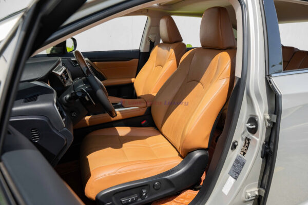Lexus RX300 2020 - Ảnh 6